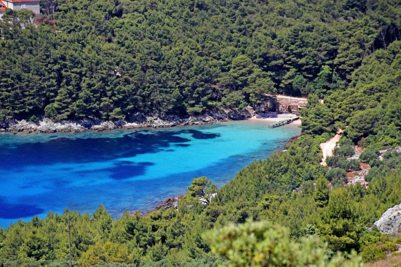 Apartments By The Sea Luka Dubrava, Peljesac - 4568 Janjina المظهر الخارجي الصورة